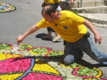 infiorata-2010-211-copia