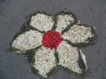 infiorata-2010-228-copia