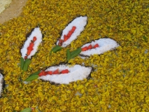 infiorata-2010-240-copia-2