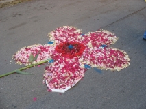 infiorata-2010-260