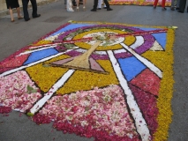 infiorata-2010-261