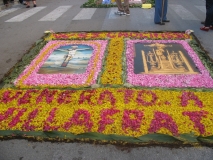 infiorata-2010-263