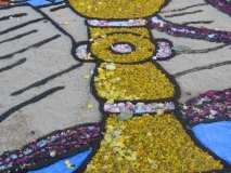 infiorata-2010-305